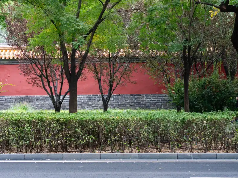 电子签章软件光盘与数字证书软件协同应用的合规要点解析