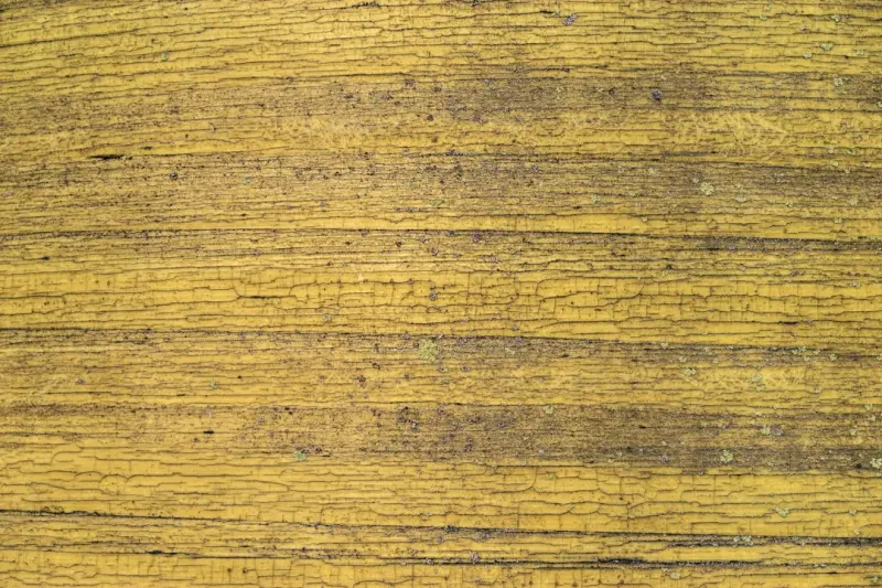 电子签章软件光盘与数字证书软件的技术原理及行业应用解析